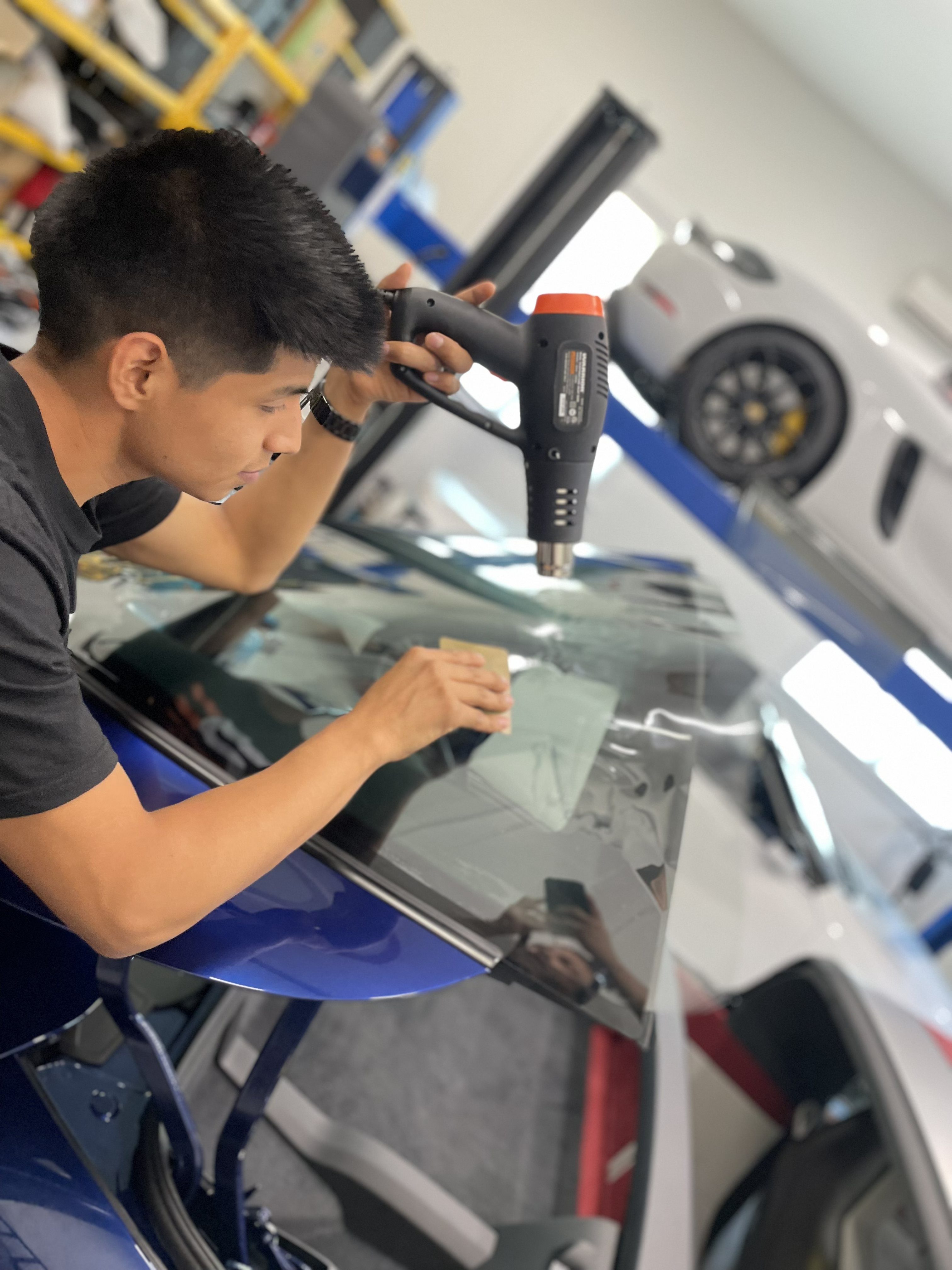 Window Tint